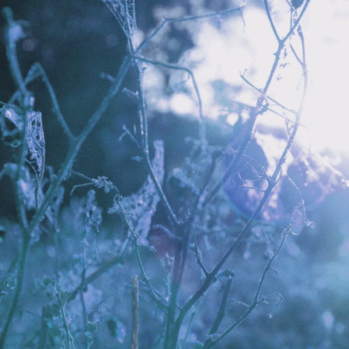 Oculi Melancholiarum : Océano Gris